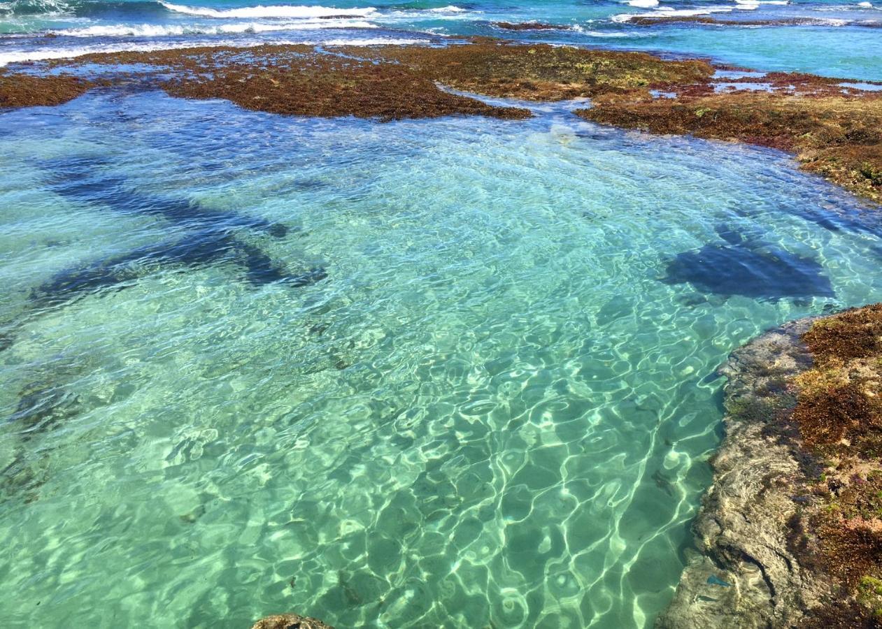 فندق La Prometida Puerto Viejo de Talamanca المظهر الخارجي الصورة